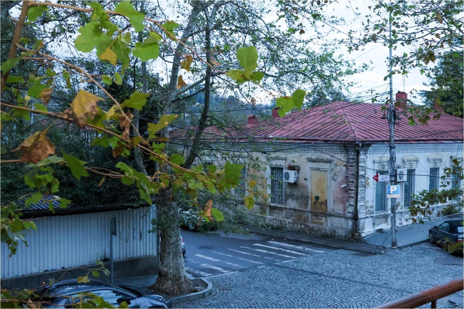 Sayulia Κουτάισι Εξωτερικό φωτογραφία